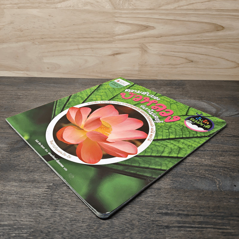 ความลับของบัวหลวงที่เราไม่เคยรู้