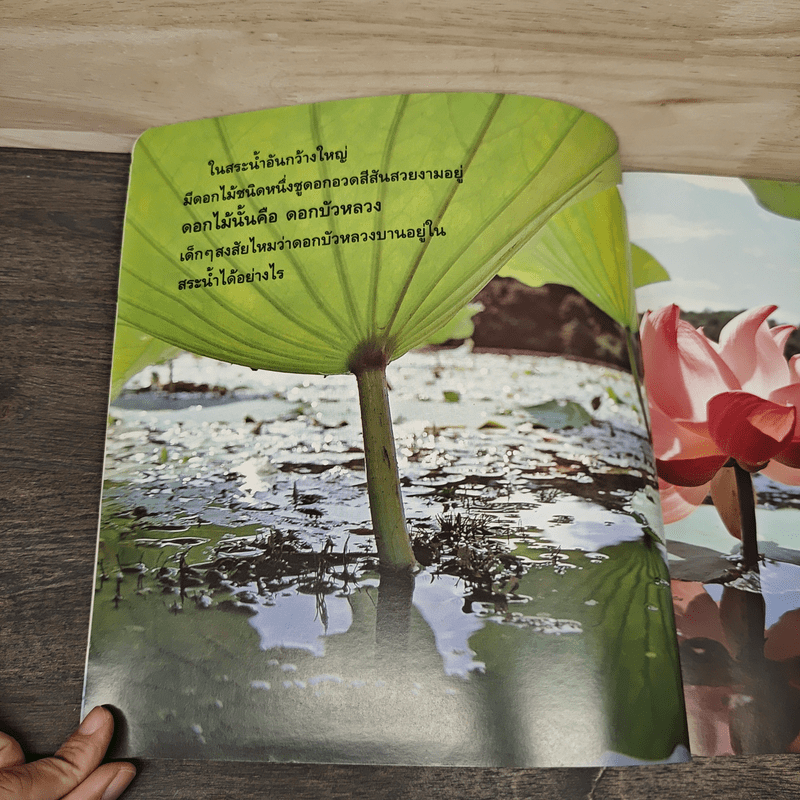 ความลับของบัวหลวงที่เราไม่เคยรู้