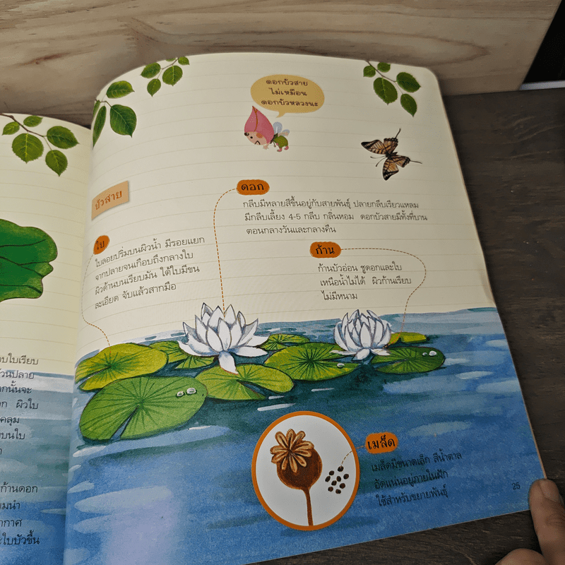 ความลับของบัวหลวงที่เราไม่เคยรู้