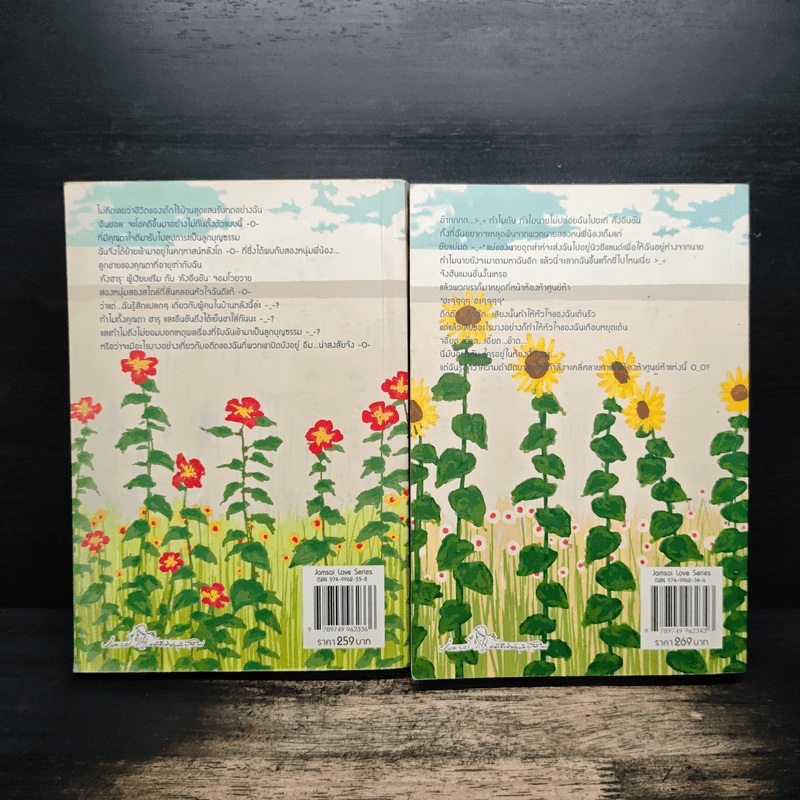 หนุ่มเหงาสาวหวานสายฝันหัวใจ 2 เล่มจบ - Guiyeoni