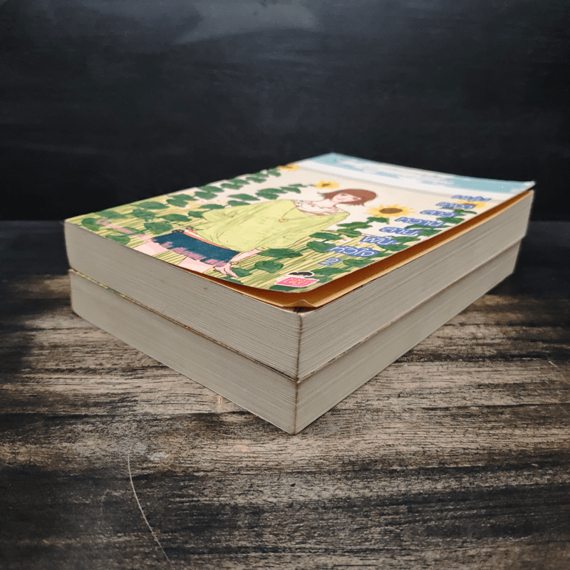 หนุ่มเหงาสาวหวานสายฝันหัวใจ 2 เล่มจบ - Guiyeoni