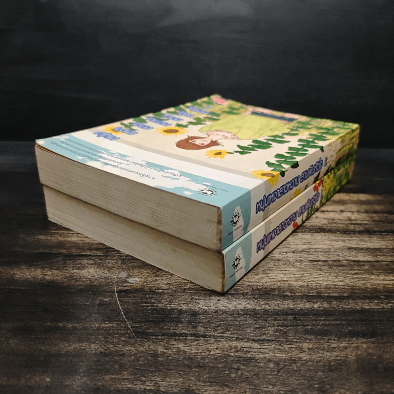 หนุ่มเหงาสาวหวานสายฝันหัวใจ 2 เล่มจบ - Guiyeoni