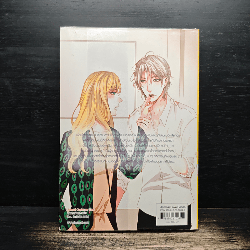 Foxy Pilot เจ้าหญิงจอมแสบแอบชิงหัวใจนักบินขี้เบื่อ - เจ้าหญิงผู้เลอโฉม