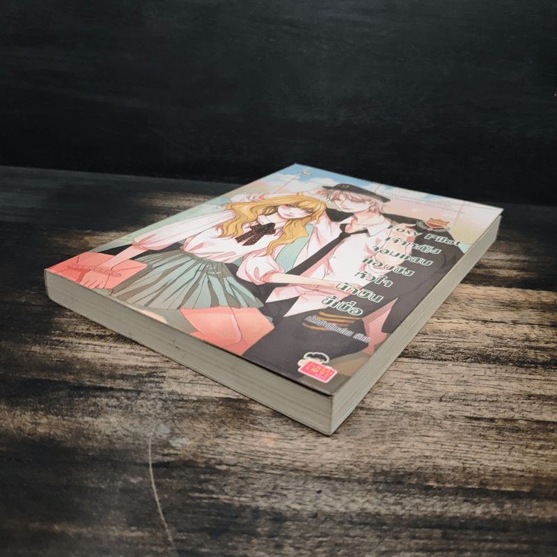 Foxy Pilot เจ้าหญิงจอมแสบแอบชิงหัวใจนักบินขี้เบื่อ - เจ้าหญิงผู้เลอโฉม