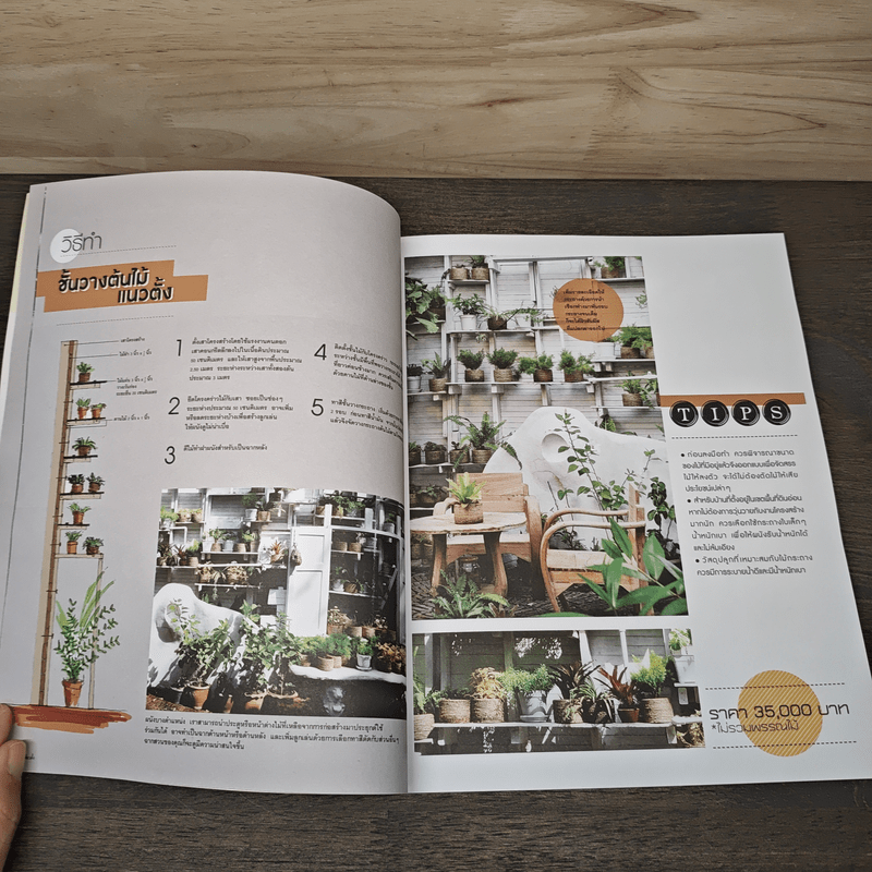 12 แบบสวนแนวตั้ง