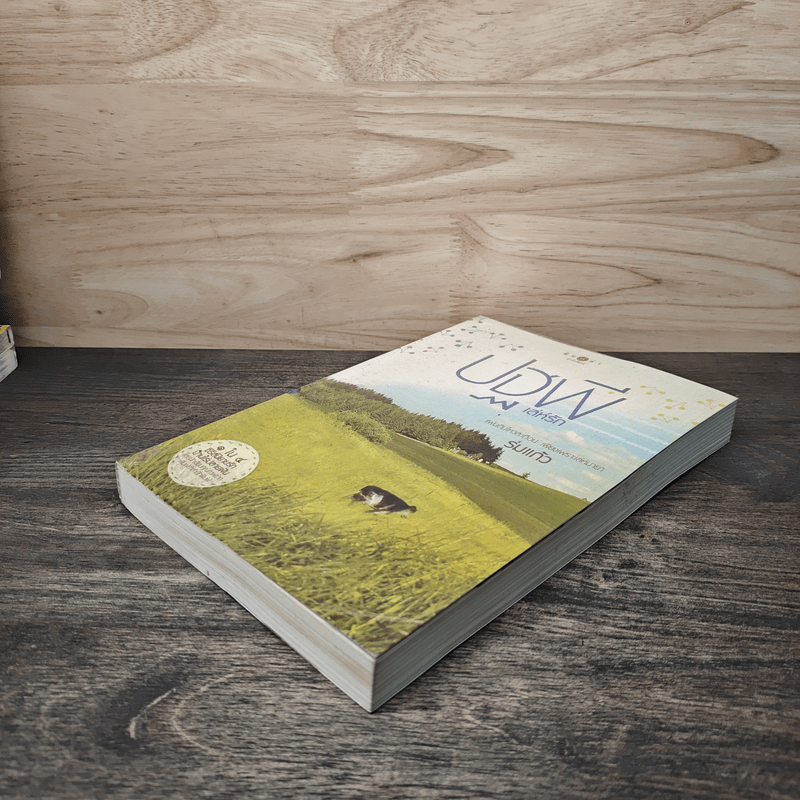 ปฐพีเล่ห์รัก - ร่มแก้ว