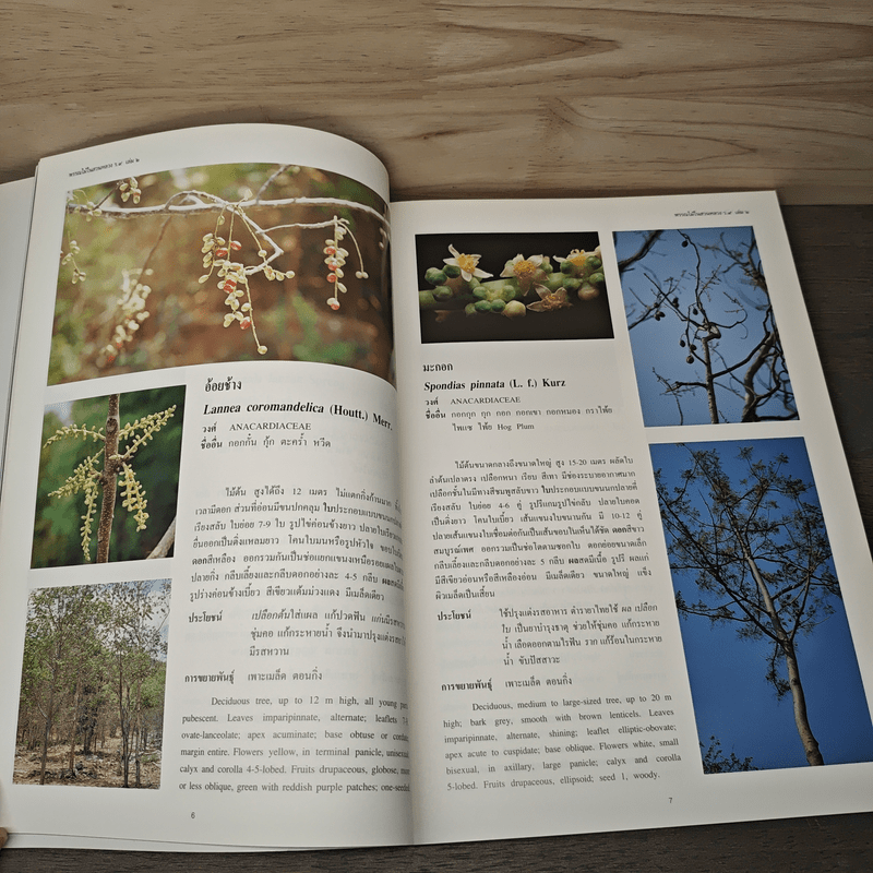 พรรณไม้ในสวนหลวง ร.9 เล่ม 2