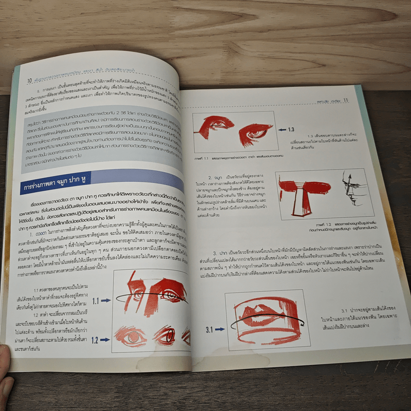 พื้นฐานการวาดภาพคนเหมือน แรเงา สีน้ำ ดินสอสีระบายน้ำ - ผู้ช่วยศาสตราจารย์มัย ตะติยะ