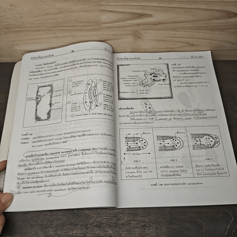 คู่มือเตรียมสอบ ชีววิทยา ม.5 เล่ม 3