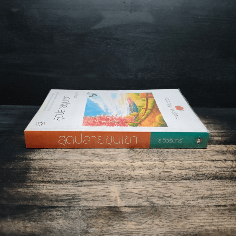 สุดปลายขุนเขา - ระวิวรินทร์