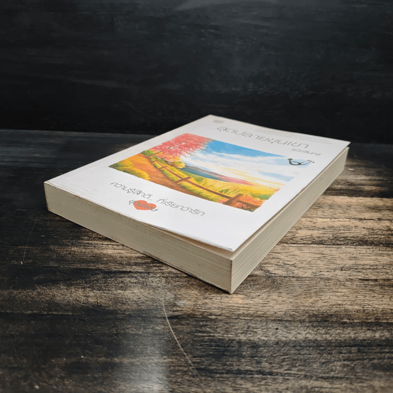 สุดปลายขุนเขา - ระวิวรินทร์