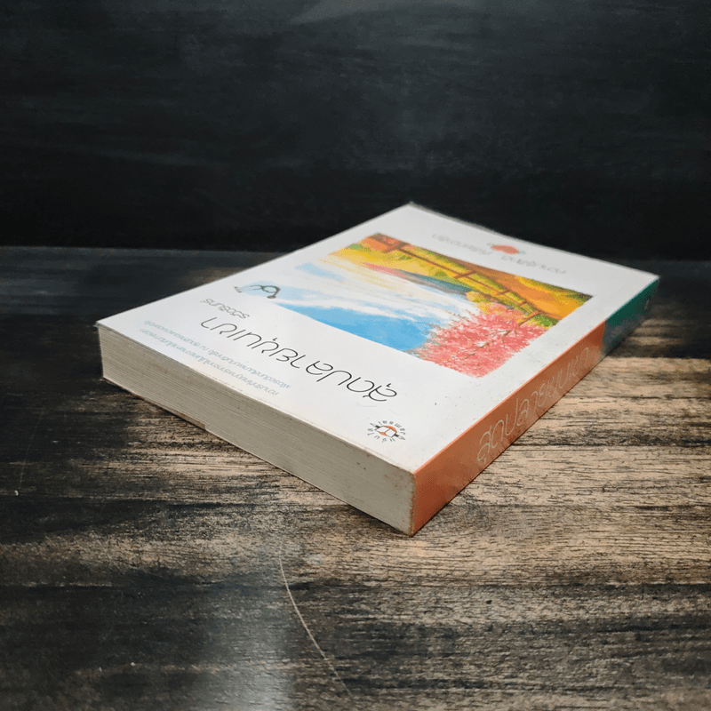 สุดปลายขุนเขา - ระวิวรินทร์