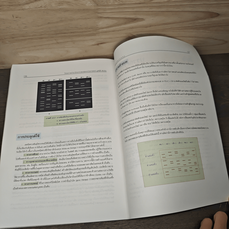 โครงการตำราวิทยาศาสตร์ ชีววิทยา 3