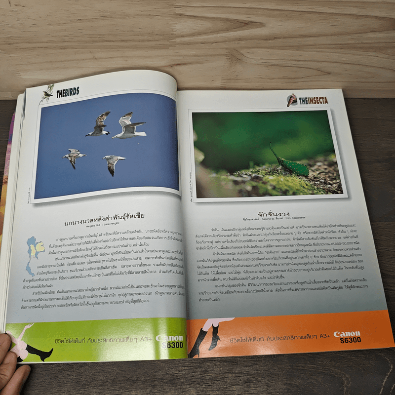 Advanced Thailand Geographic ปีที่ 7 ฉบับที่ 50 ม.ค.2545