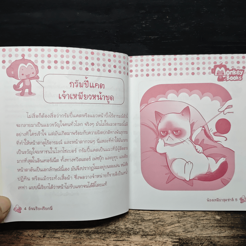 น้องเหมียวสุดซ่าส์ เล่ม 67