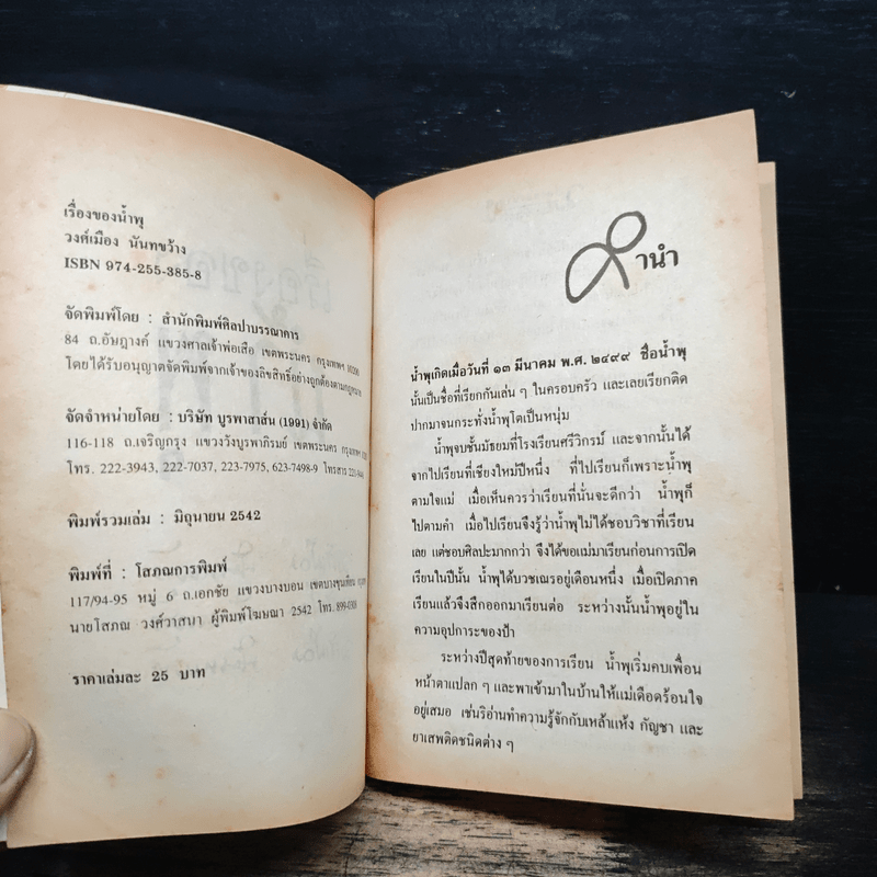 เรื่องของน้ำพุ - วงศ์เมือง นันทขว้าง