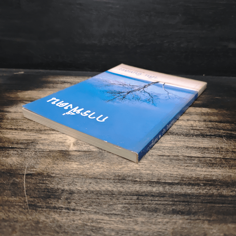 การพึ่งตน - วศิน อินทสระ