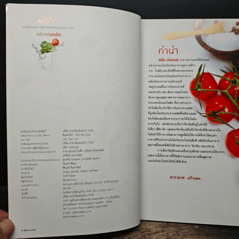 สลัดจานหลัก