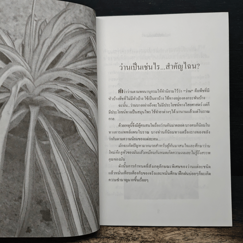 ว่าน ต้นไม้อัศจรรย์ - วันชนะ