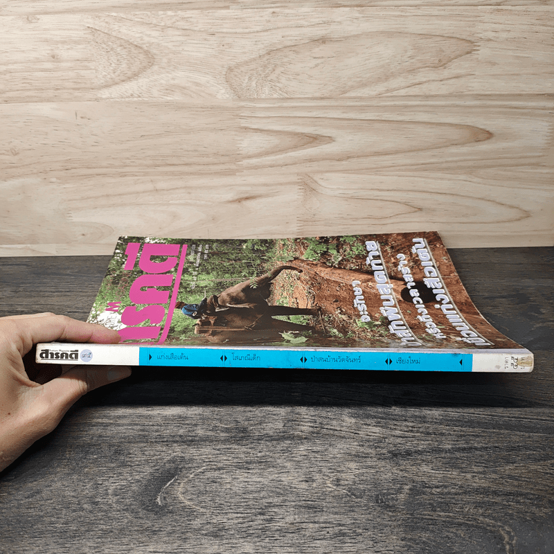 Feature Magazine สารคดี ปีที่ 8 ฉบับที่ 95 ม.ค.2536