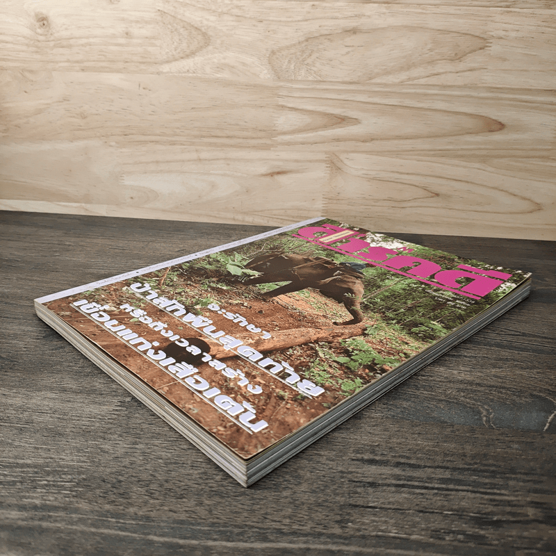 Feature Magazine สารคดี ปีที่ 8 ฉบับที่ 95 ม.ค.2536