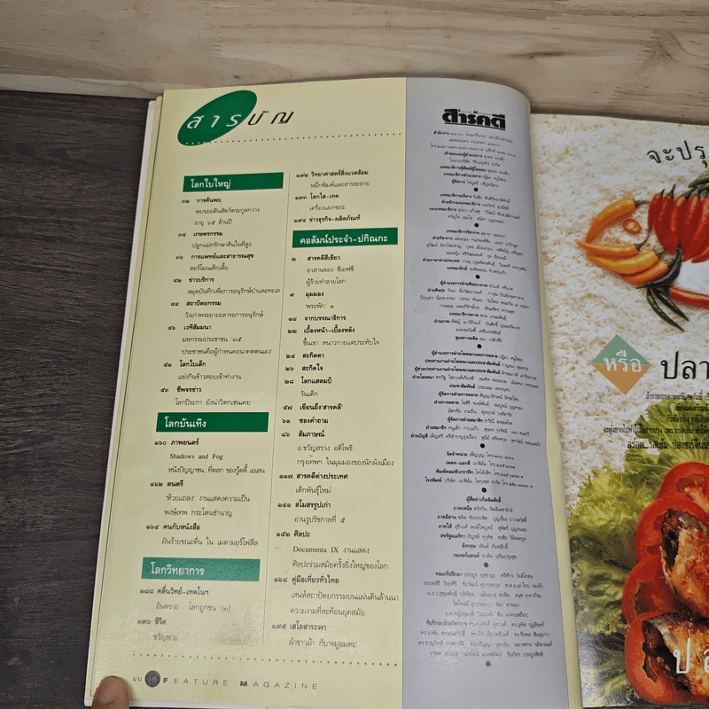 Feature Magazine สารคดี ปีที่ 8 ฉบับที่ 95 ม.ค.2536