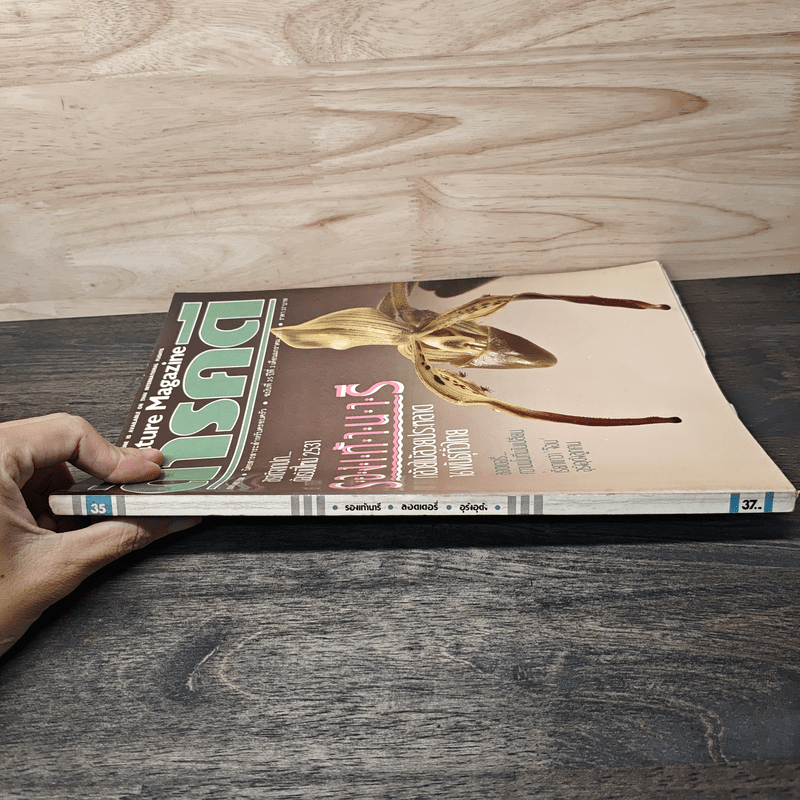 Feature Magazine สารคดี ฉบับที่ 35 ม.ค.2531