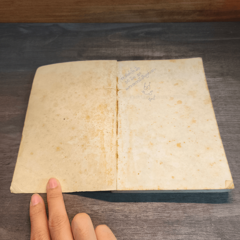 กลิ่นสีและกาวแป้ง - พิษณุ ศุภ