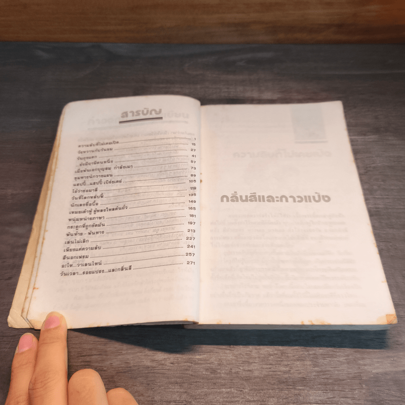 กลิ่นสีและกาวแป้ง - พิษณุ ศุภ