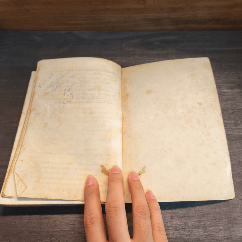 กลิ่นสีและกาวแป้ง - พิษณุ ศุภ