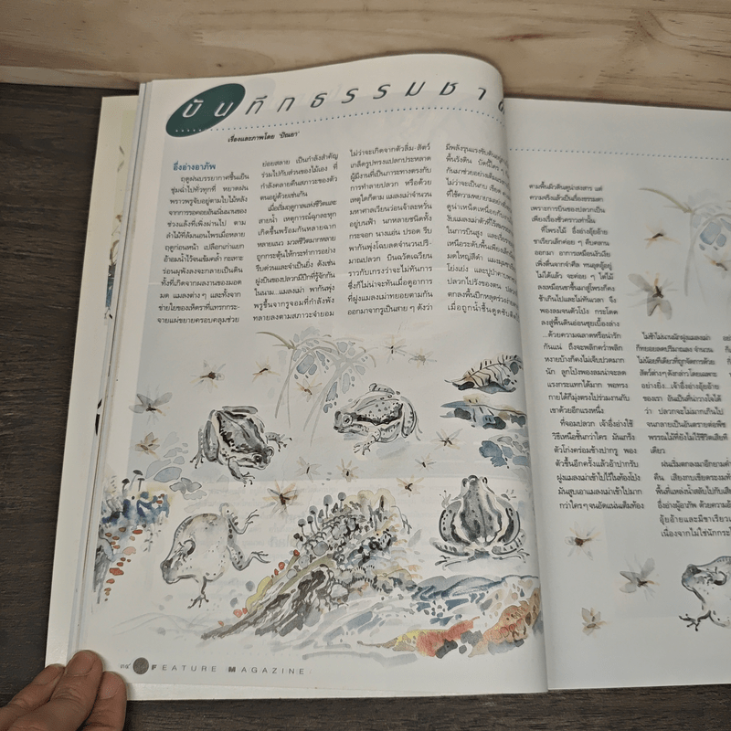 Feature Magazine สารคดี ฉบับที่ 101 ปีที่ 9 ก.ค.2536