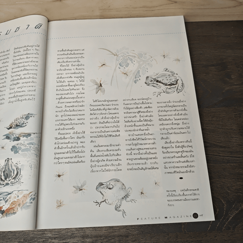 Feature Magazine สารคดี ฉบับที่ 101 ปีที่ 9 ก.ค.2536