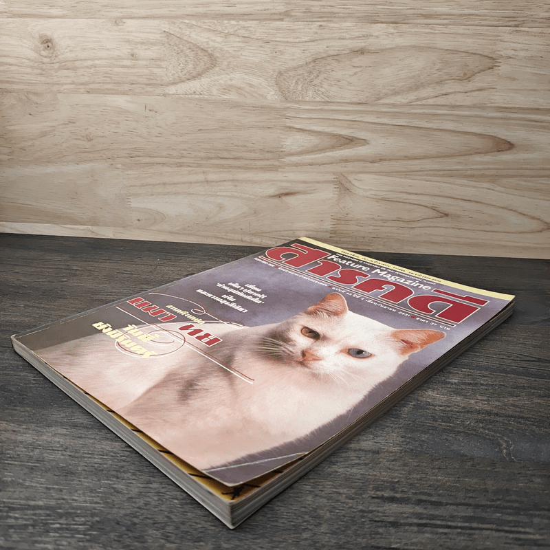 Feature Magazine สารคดี ฉบับที่ 42 ปีที่ 4 ก.ย.2531