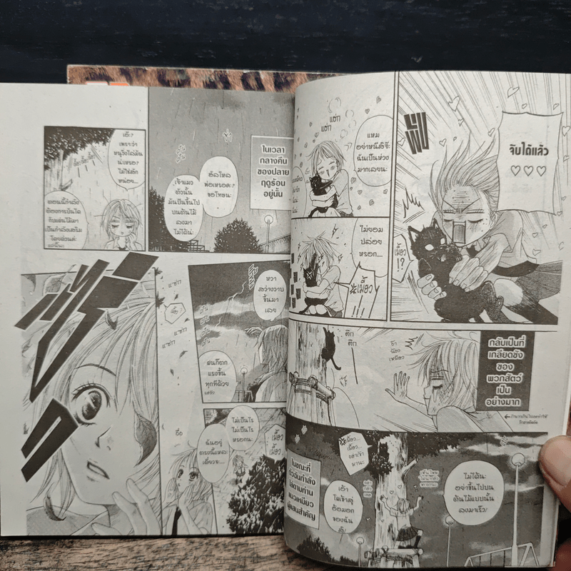 BEAST MASTER บีสต์ มาสเตอร์ 2 เล่มจบ - MOTOMI Kyousuke