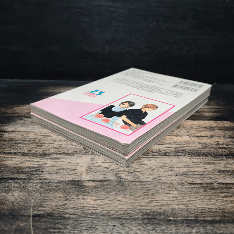 ปีศาจน้อยกับเจ้าชายสุดปิ๊ง 2 เล่มจบ