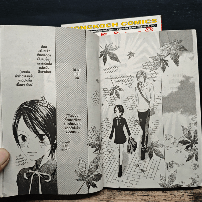 ปีศาจน้อยกับเจ้าชายสุดปิ๊ง 2 เล่มจบ