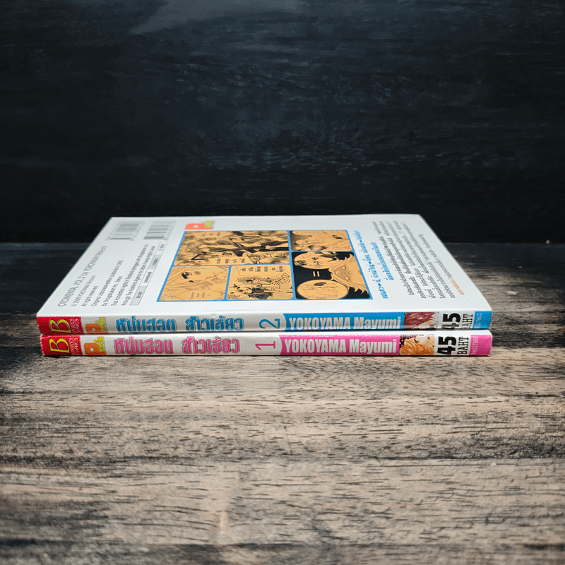 หนุ่มฮอตสาวเฮี้ยว 2 เล่มจบ