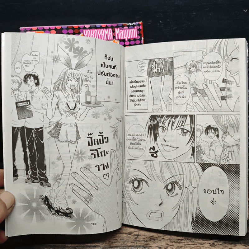 หนุ่มฮอตสาวเฮี้ยว 2 เล่มจบ