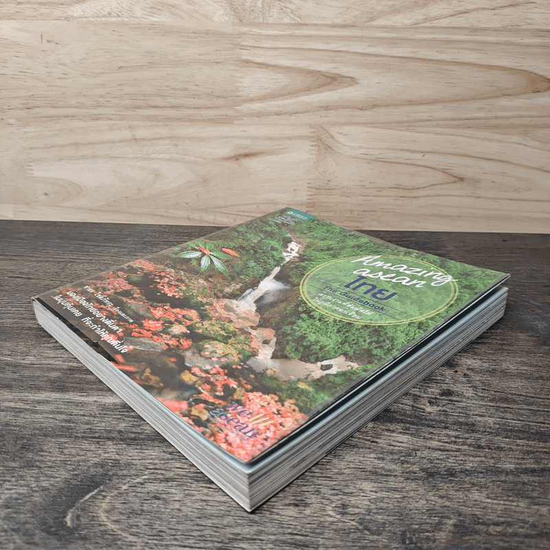 Amazing Asean ไทย The Guidebook