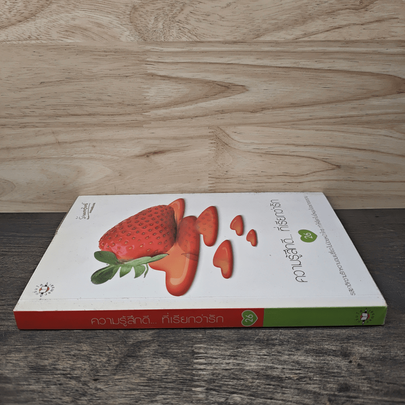 ความรู้สึกดี...ที่เรียกว่ารัก 26