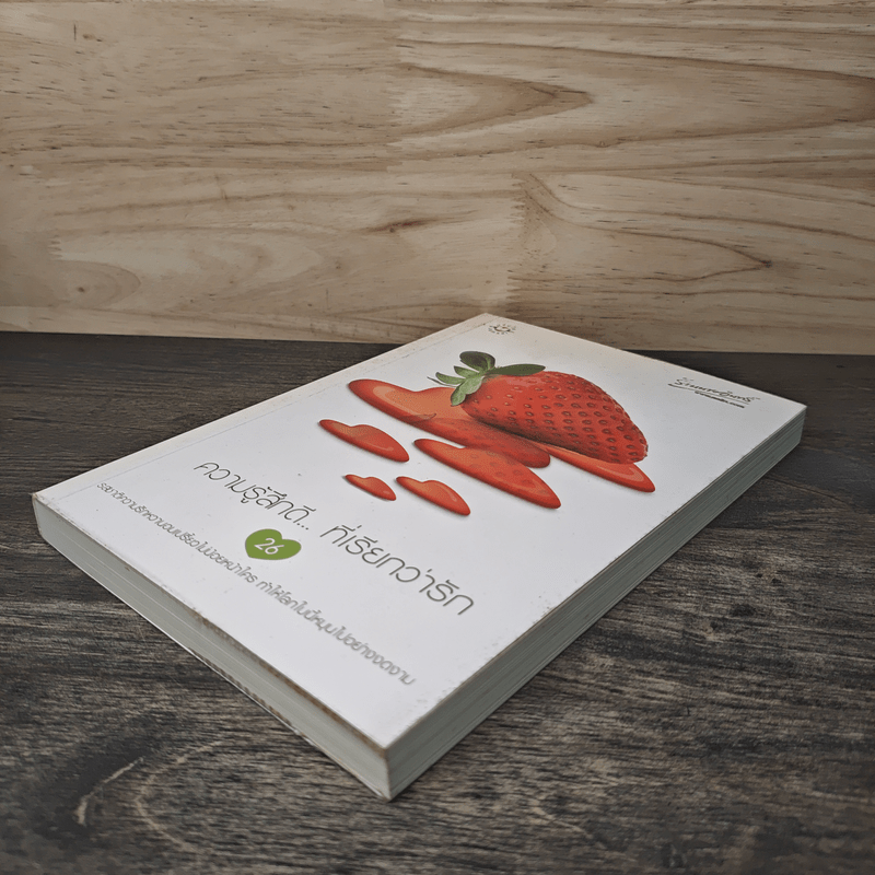 ความรู้สึกดี...ที่เรียกว่ารัก 26