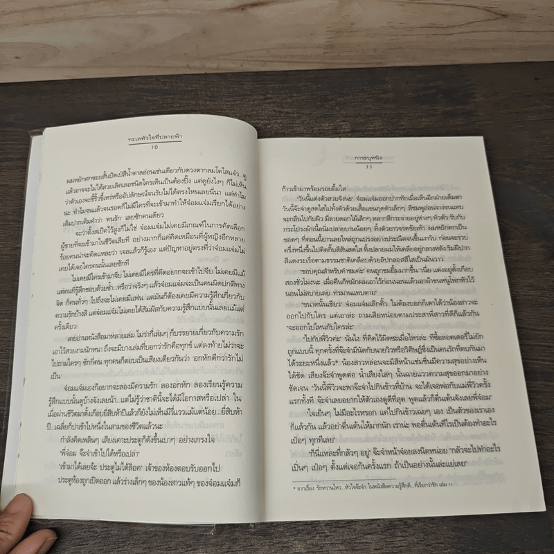 ทะเลหัวใจที่ปลายฟ้า - การะบุหนิง