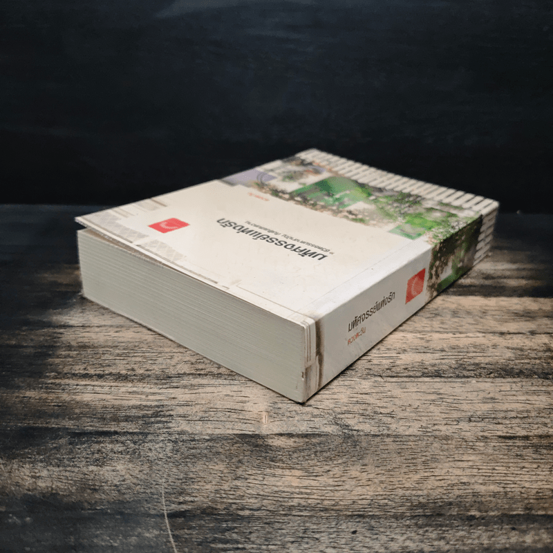 มหัศจรรย์แห่งรัก - ดวงตะวัน