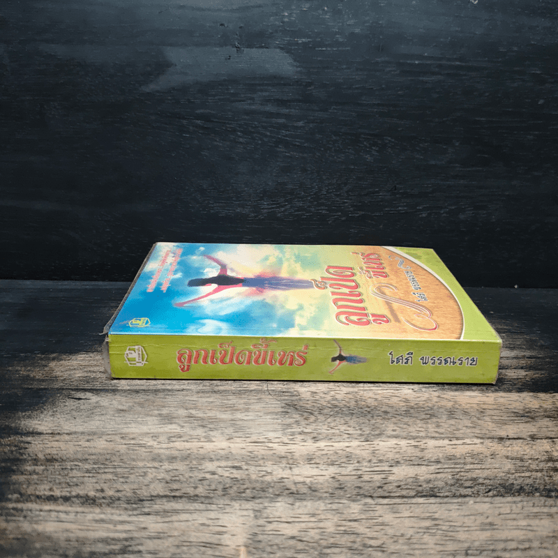 ลูกเป็ดขี้เหร่ - โสภี พรรณราย