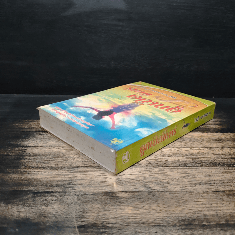 ลูกเป็ดขี้เหร่ - โสภี พรรณราย