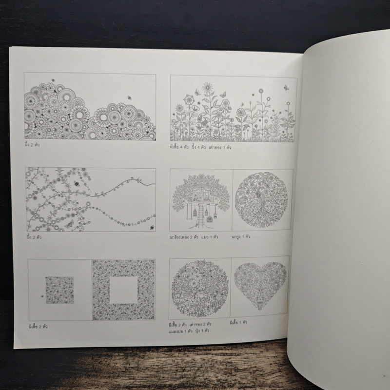 สวนปริศนา Secret Garden - กองบรรณาธิการมังกี้บุ๊กส์