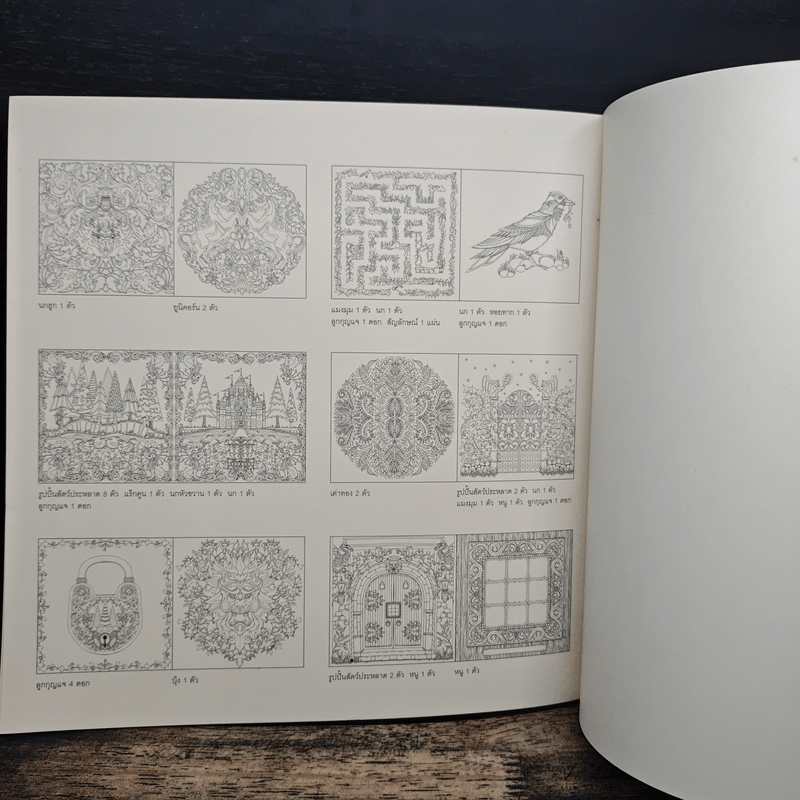 ป่าต้องมนต์ Enchanted Forest - Johanna Basford, เอื้อยจิตร