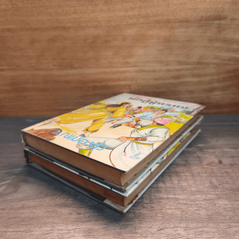 นักสู้ผู้ทรนง 2 เล่มจบ - ว.ณเมืองลุง