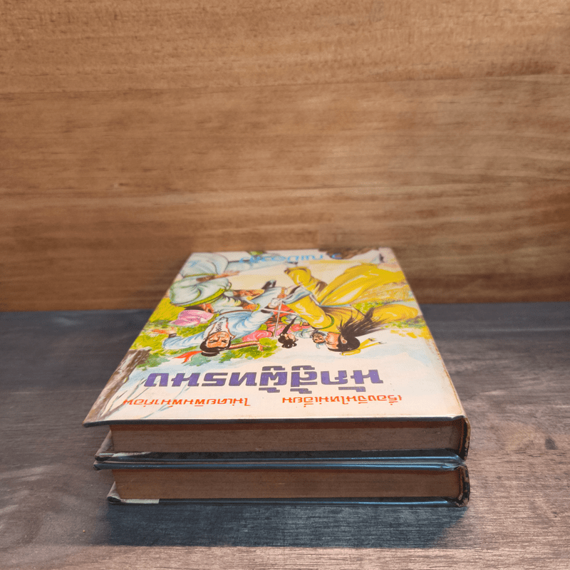 นักสู้ผู้ทรนง 2 เล่มจบ - ว.ณเมืองลุง