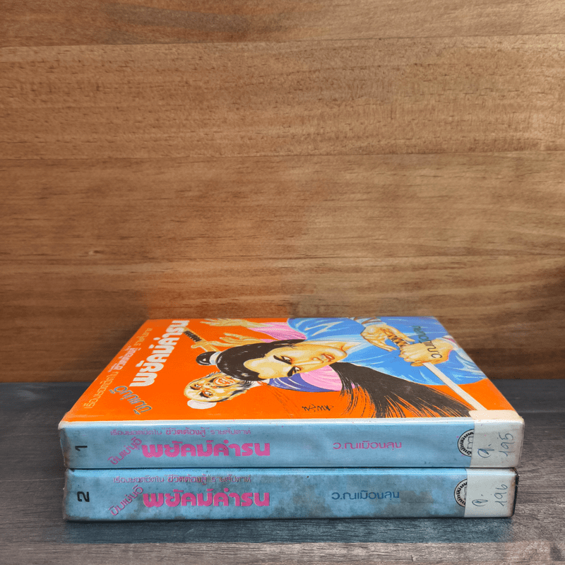 พยัคฆ์คำรน 2 เล่มจบ - ว.ณเมืองลุง